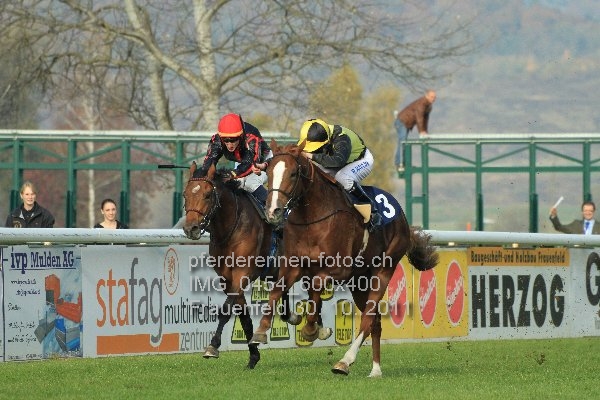 IMG 0454 600x400 prot
