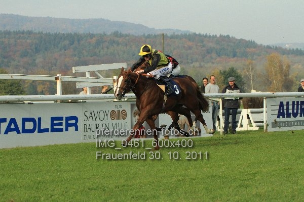 IMG 0461 600x400 prot