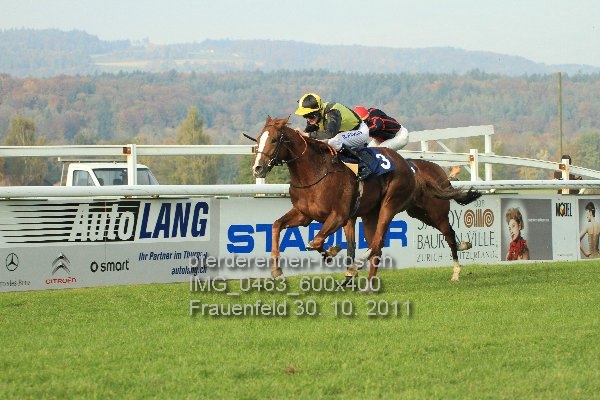 IMG 0463 600x400 prot
