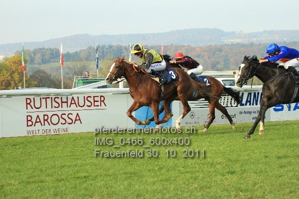 IMG 0466 600x400 prot