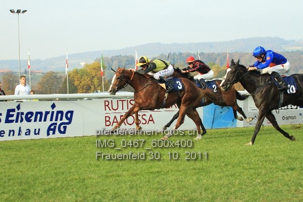 IMG 0467 600x400 prot