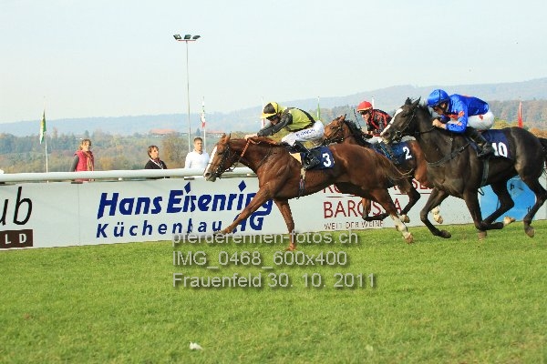 IMG 0468 600x400 prot