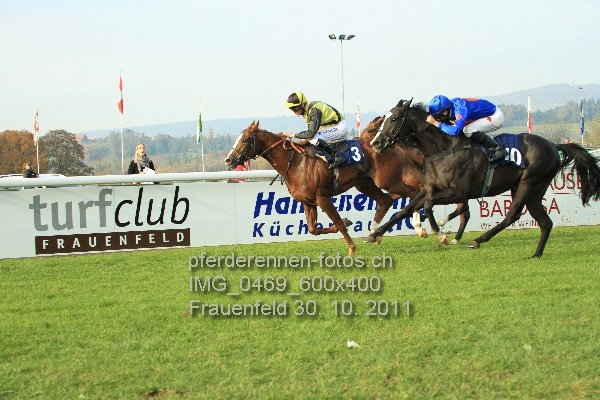 IMG 0469 600x400 prot