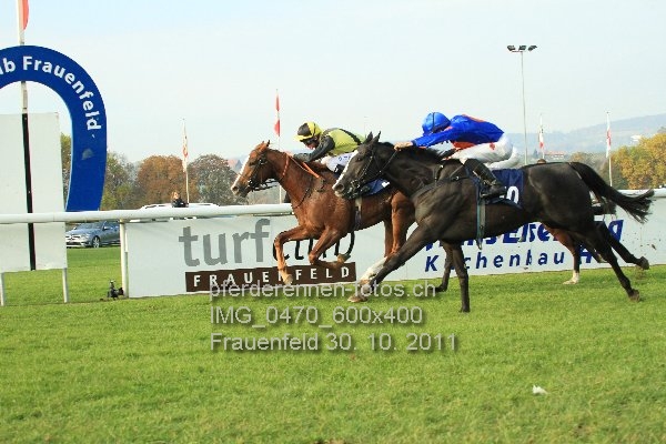IMG 0470 600x400 prot