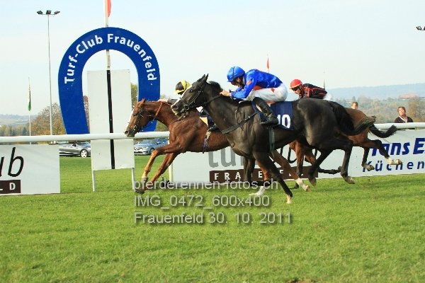 IMG 0472 600x400 prot