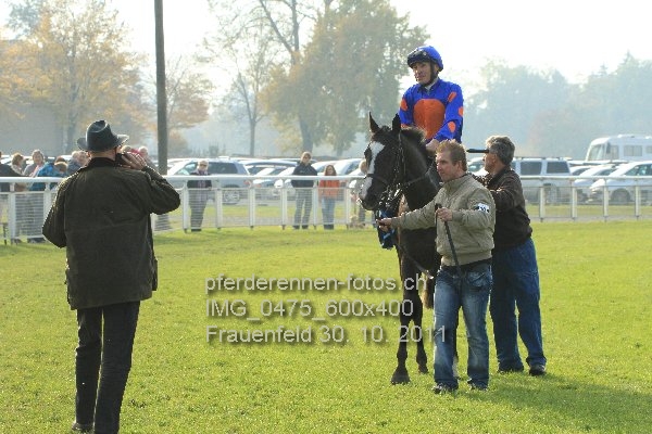 IMG 0475 600x400 prot