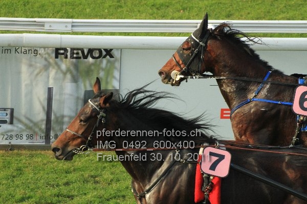IMG 0492 600x400 prot