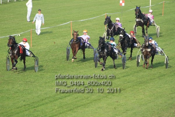 IMG 0494 600x400 prot