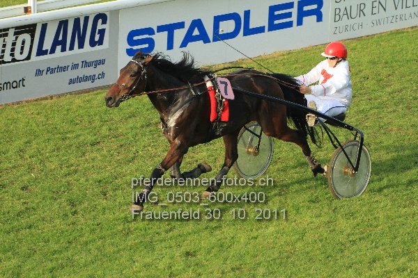 IMG 0503 600x400 prot