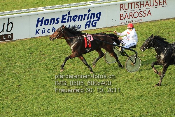 IMG 0505 600x400 prot
