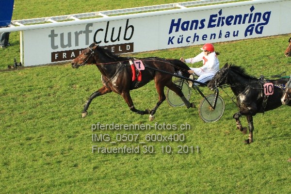 IMG 0507 600x400 prot