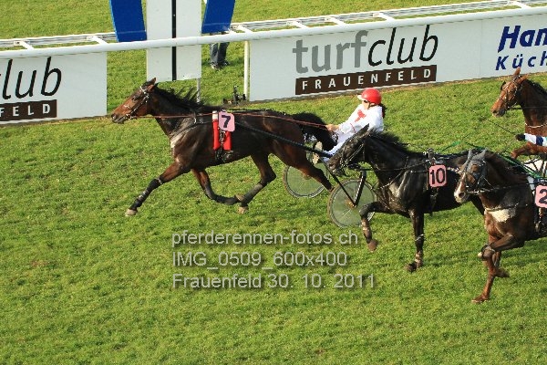 IMG 0509 600x400 prot