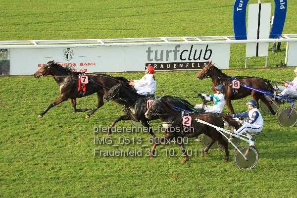 IMG 0513 600x400 prot
