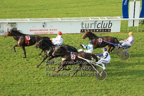 IMG 0514 600x400 prot