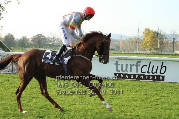 IMG 0531 600x400 prot