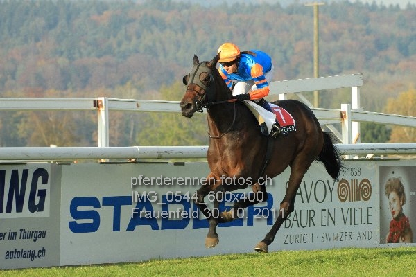 IMG 0544 600x400 prot