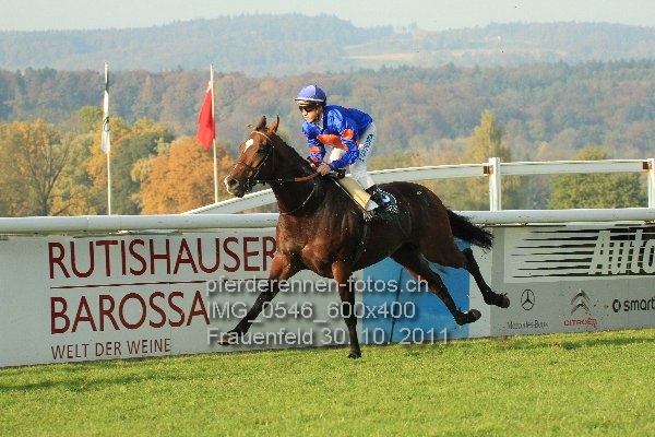 IMG 0546 600x400 prot