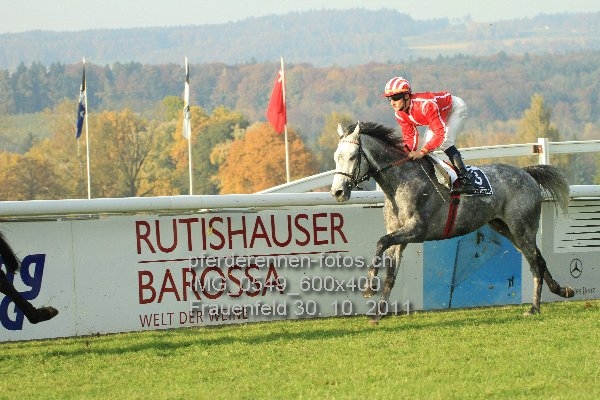 IMG 0549 600x400 prot
