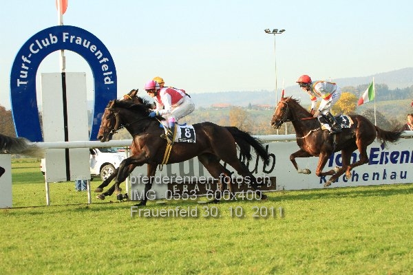 IMG 0553 600x400 prot