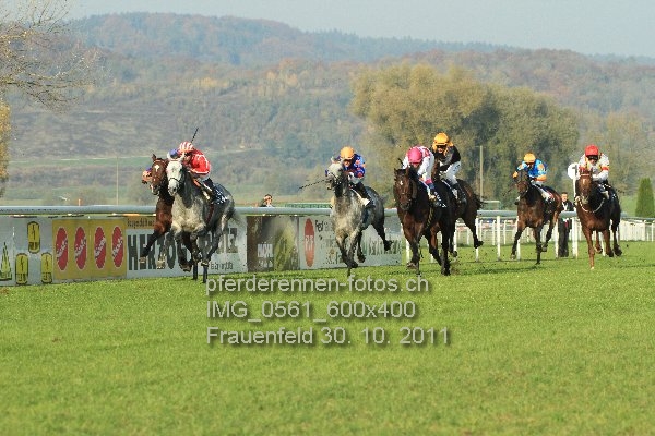 IMG 0561 600x400 prot