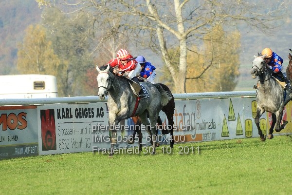 IMG 0565 600x400 prot