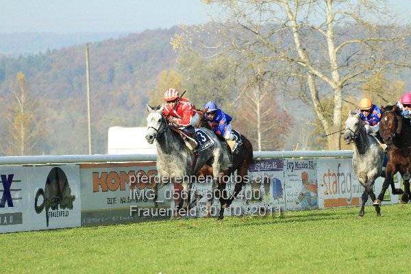 IMG 0567 600x400 prot