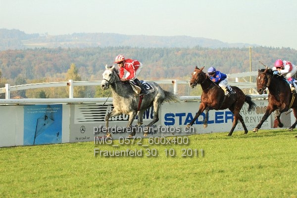 IMG 0572 600x400 prot
