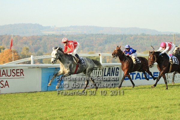 IMG 0573 600x400 prot