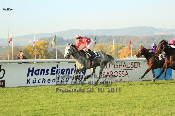 IMG 0576 600x400 prot