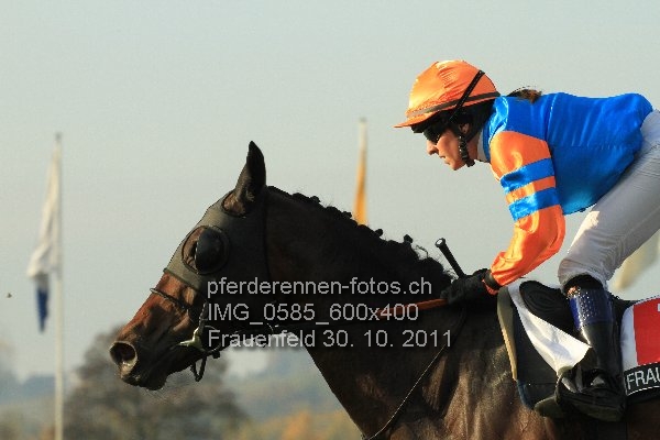 IMG 0585 600x400 prot