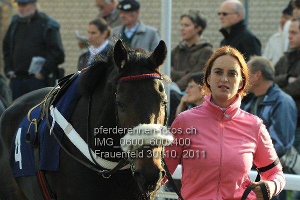 IMG 0600 600x400 prot