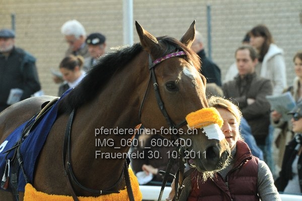 IMG 0601 600x400 prot