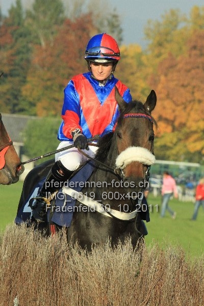 IMG 0619 600x400 prot