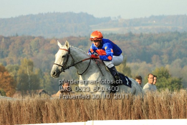 IMG 0623 600x400 prot