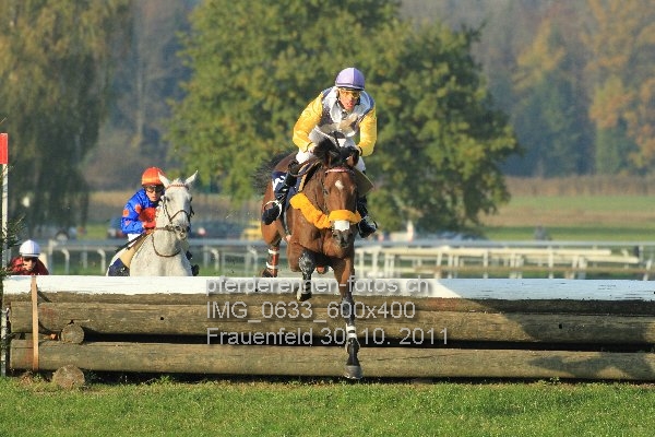 IMG 0633 600x400 prot