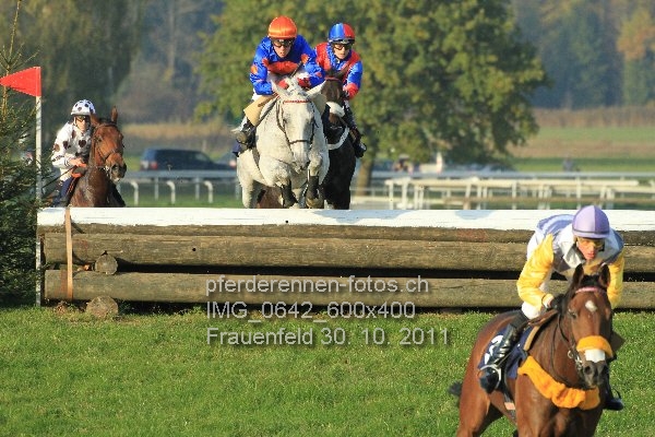 IMG 0642 600x400 prot