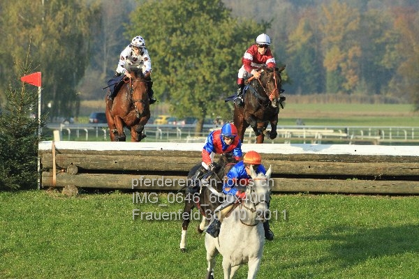 IMG 0646 600x400 prot