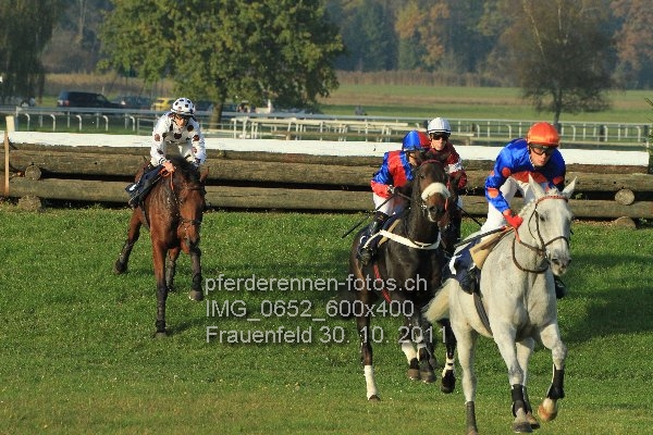 IMG 0652 600x400 prot