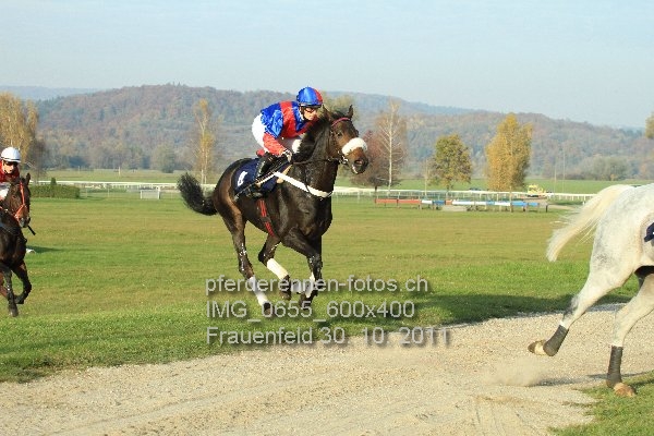 IMG 0655 600x400 prot