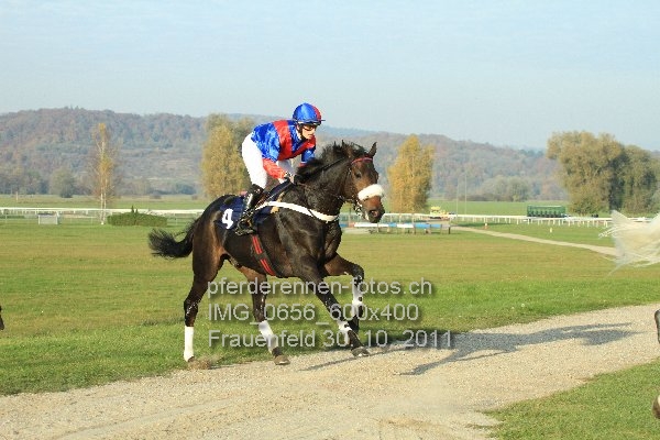 IMG 0656 600x400 prot
