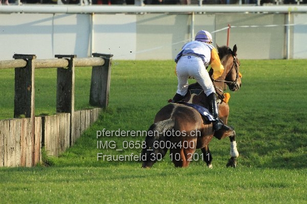 IMG 0658 600x400 prot