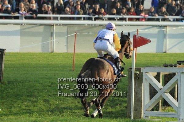 IMG 0660 600x400 prot
