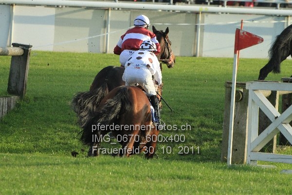IMG 0670 600x400 prot