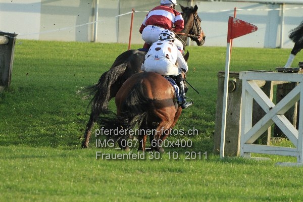 IMG 0671 600x400 prot