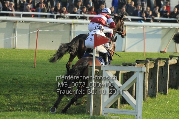 IMG 0673 600x400 prot