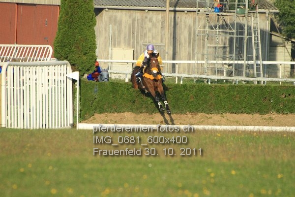 IMG 0681 600x400 prot