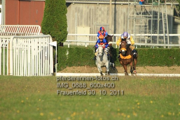IMG 0688 600x400 prot