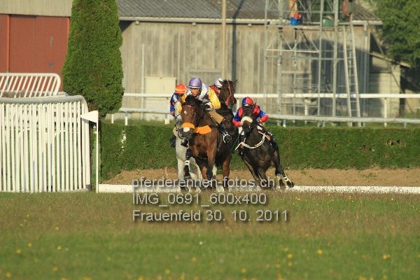 IMG 0691 600x400 prot