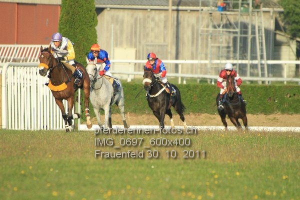 IMG 0697 600x400 prot