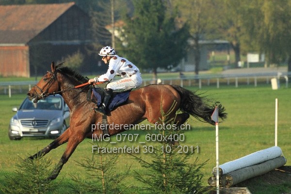 IMG 0707 600x400 prot